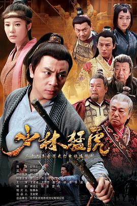 武林猛虎第12集