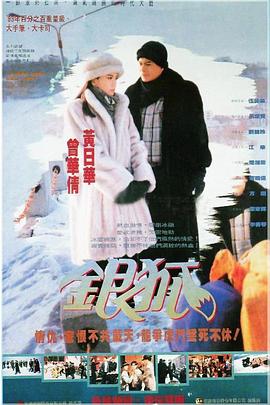 银狐粤语第27集