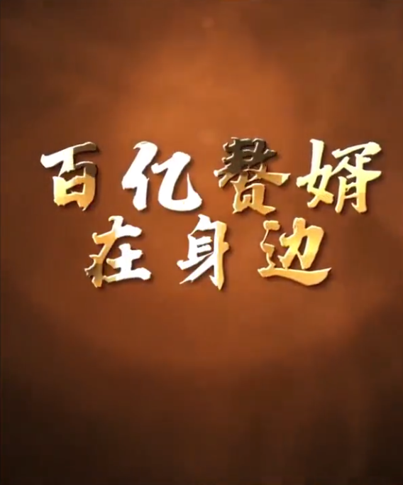 百亿赘婿在身边第51集