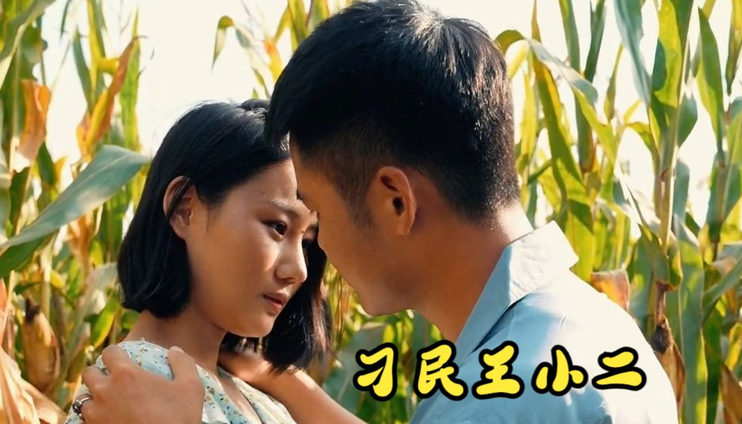 刁民王小二第48集