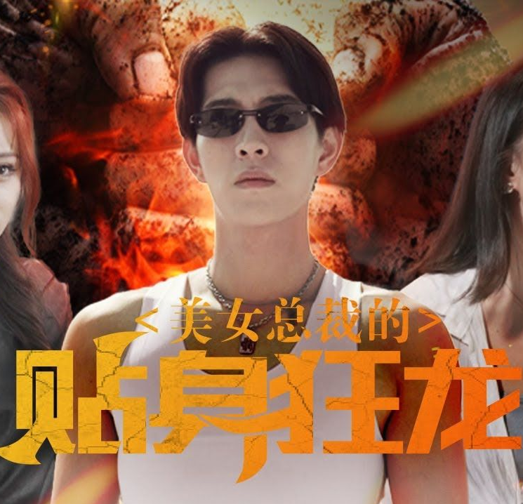 美女总裁的贴身狂龙第04集