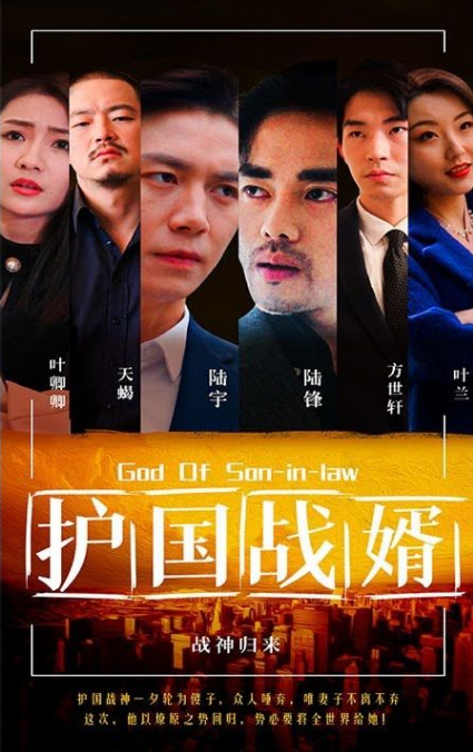 护国战婿第11集