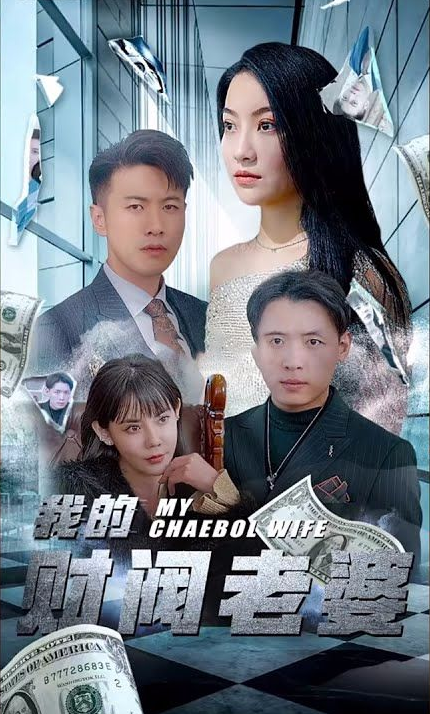 我的财阀老婆第12集