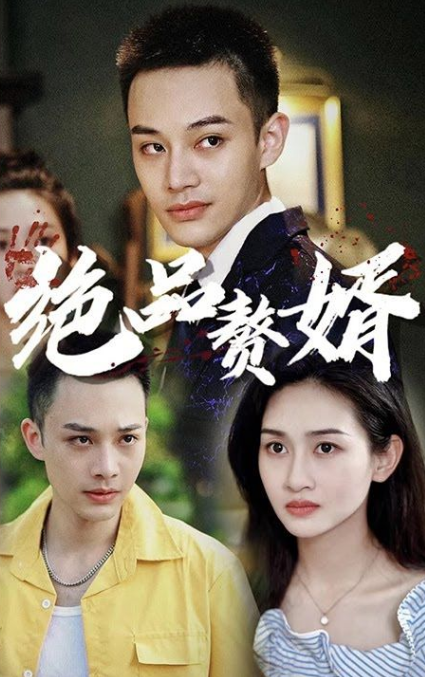 绝品赘婿第51集