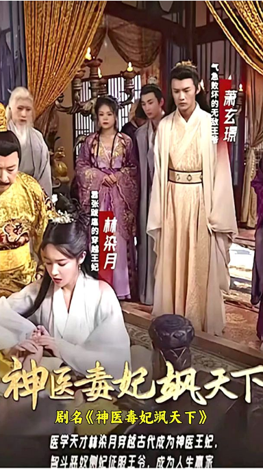 神医毒妃飒天下第07集