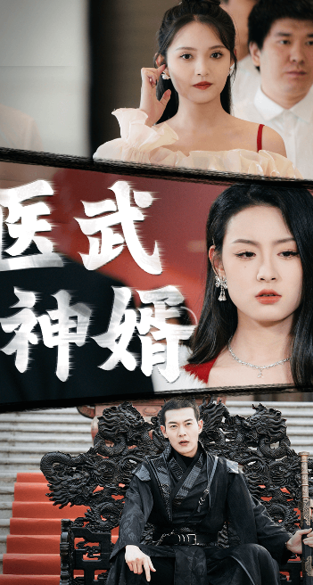 医武神婿第19集
