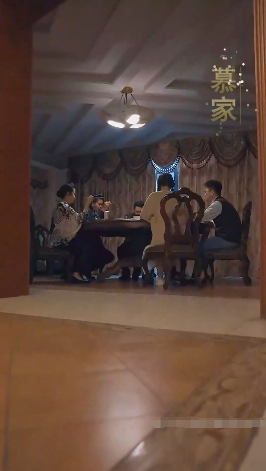 我成了段总的腹黑女保镖第50集