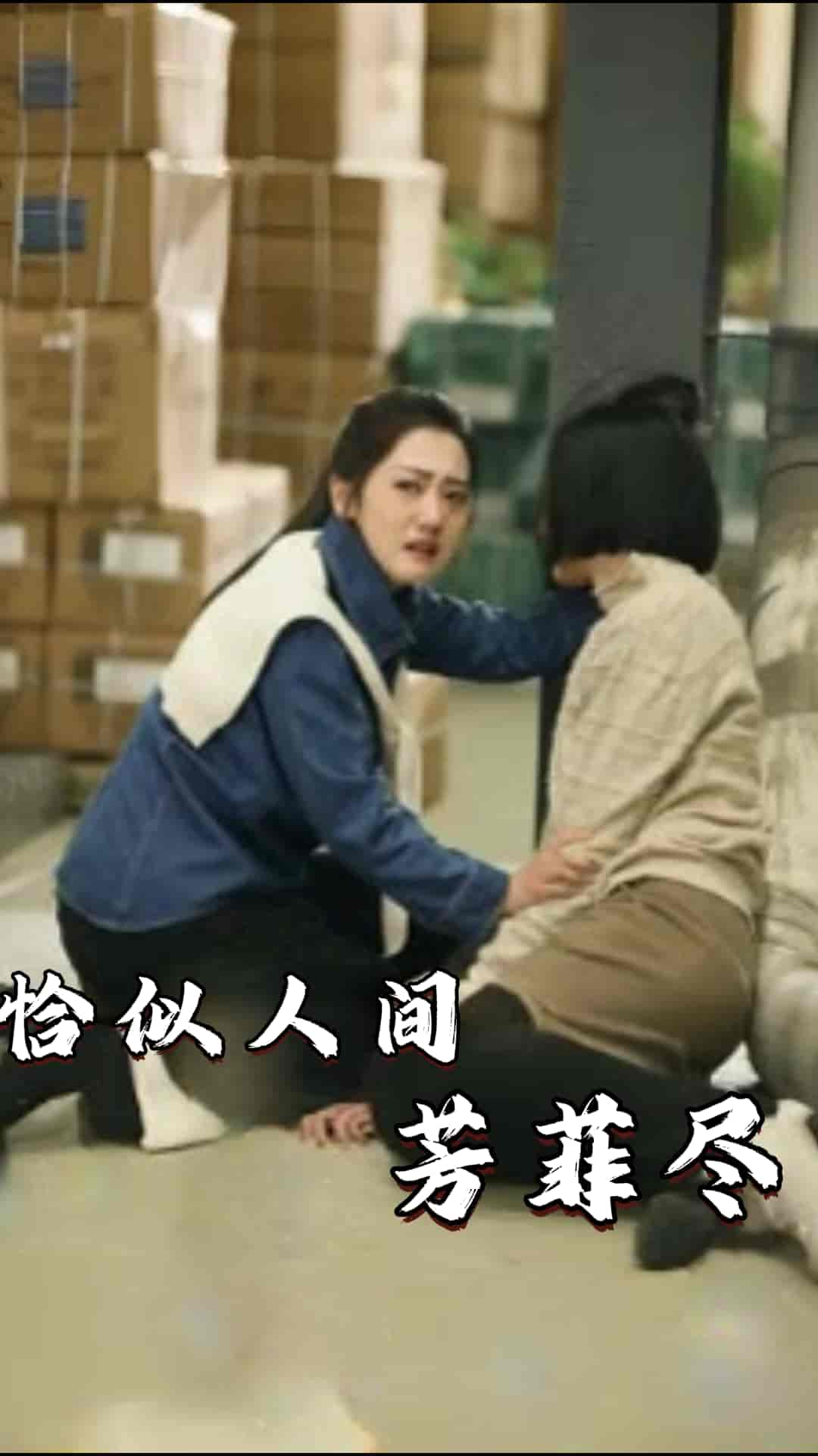 恰似人间芳菲尽第12集