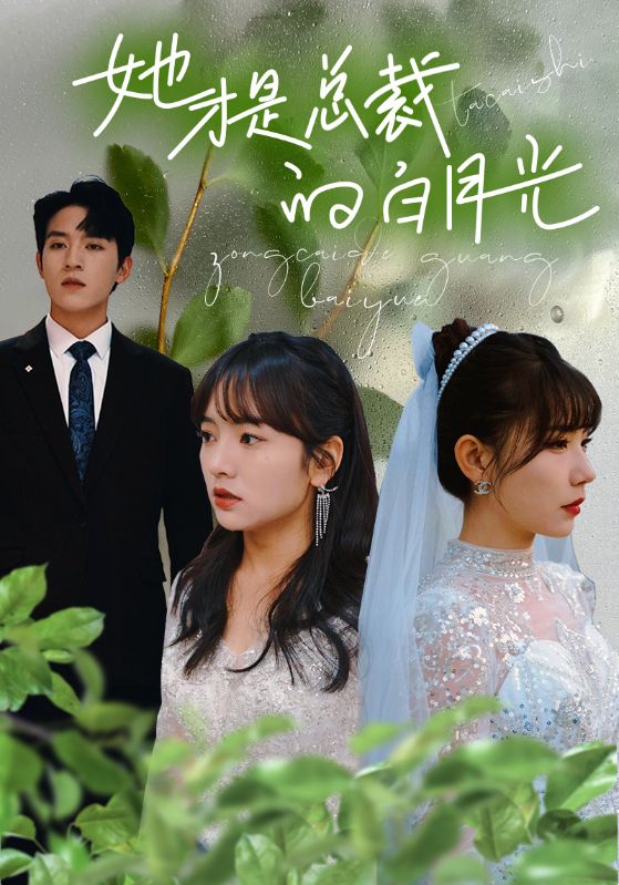 她才是总裁的白月光第23集