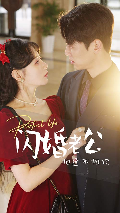 闪婚老公相逢不相识第05集