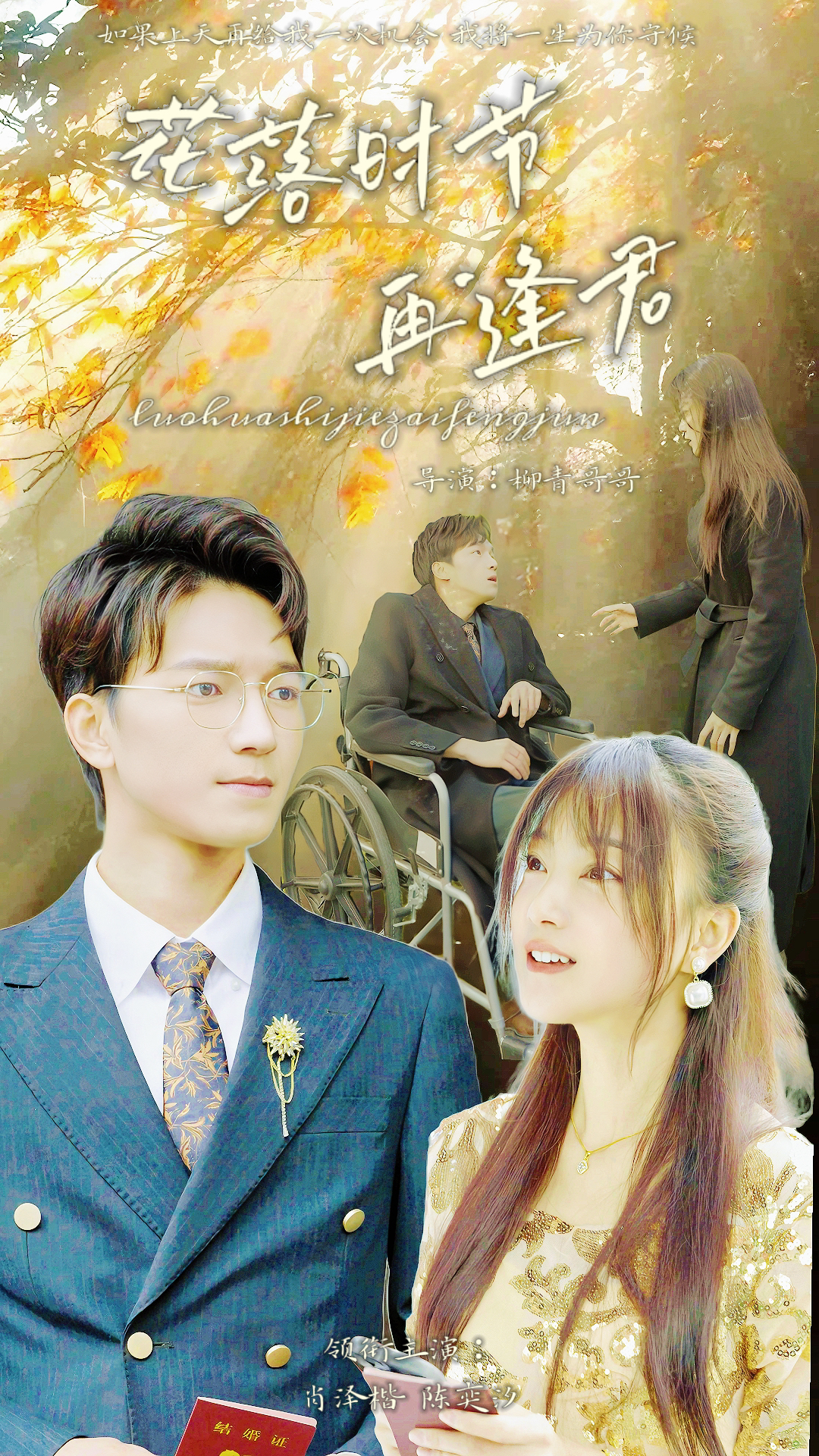 落花时节再逢君第14集