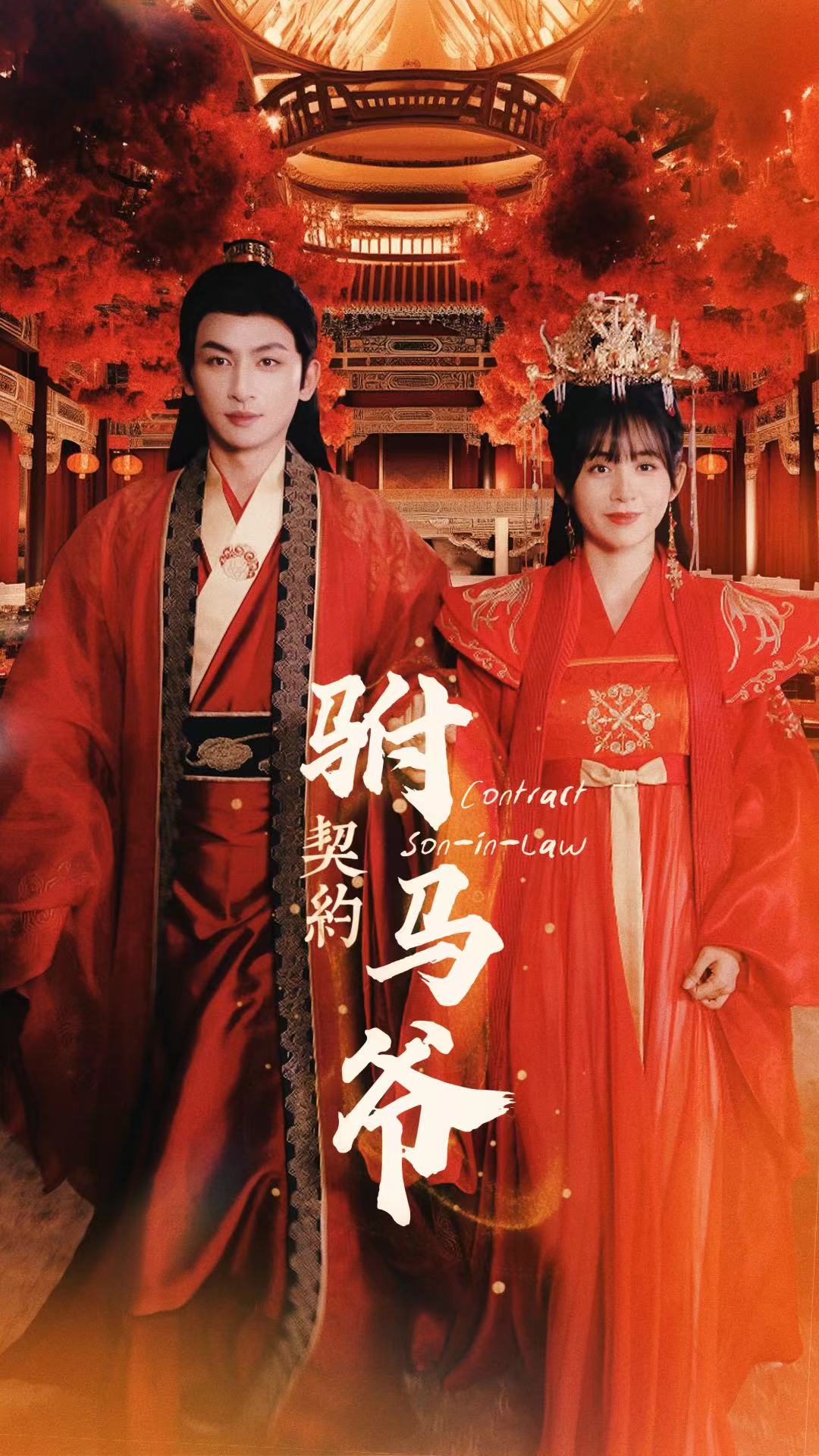 契约驸马爷第38集