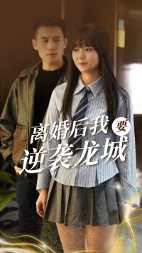离婚后我要逆袭龙城第90集(大结局)