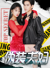 伪装夫妇第06集