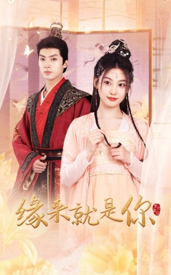 缘来就是你短剧第56集