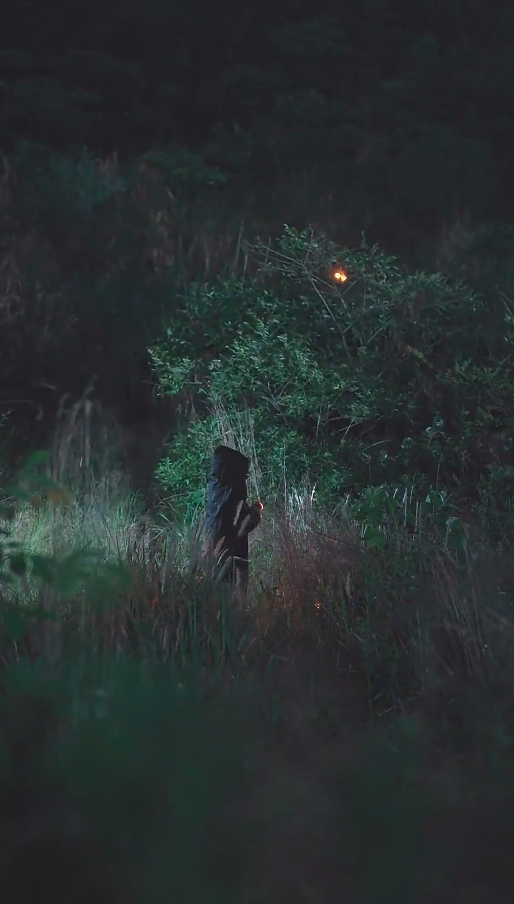 长风散尽终遇你第29集