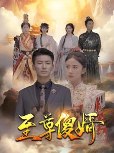 至尊傻婿第67集