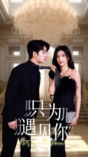 只为遇见你短剧第65集
