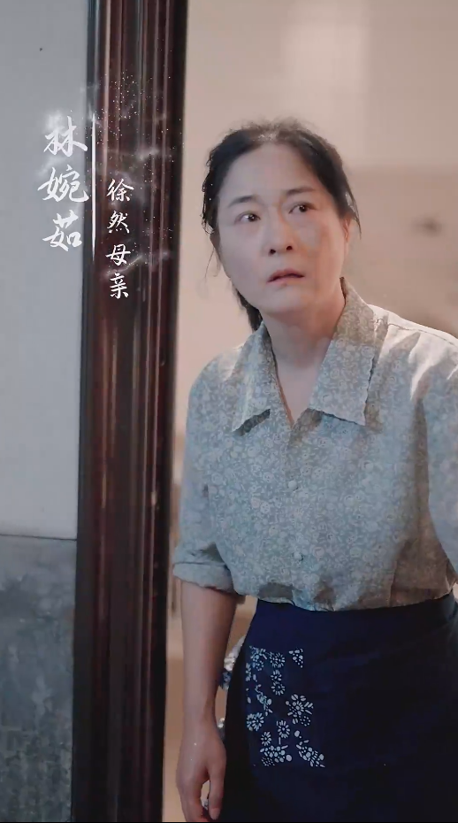 谁怜天下慈母心短剧第26集