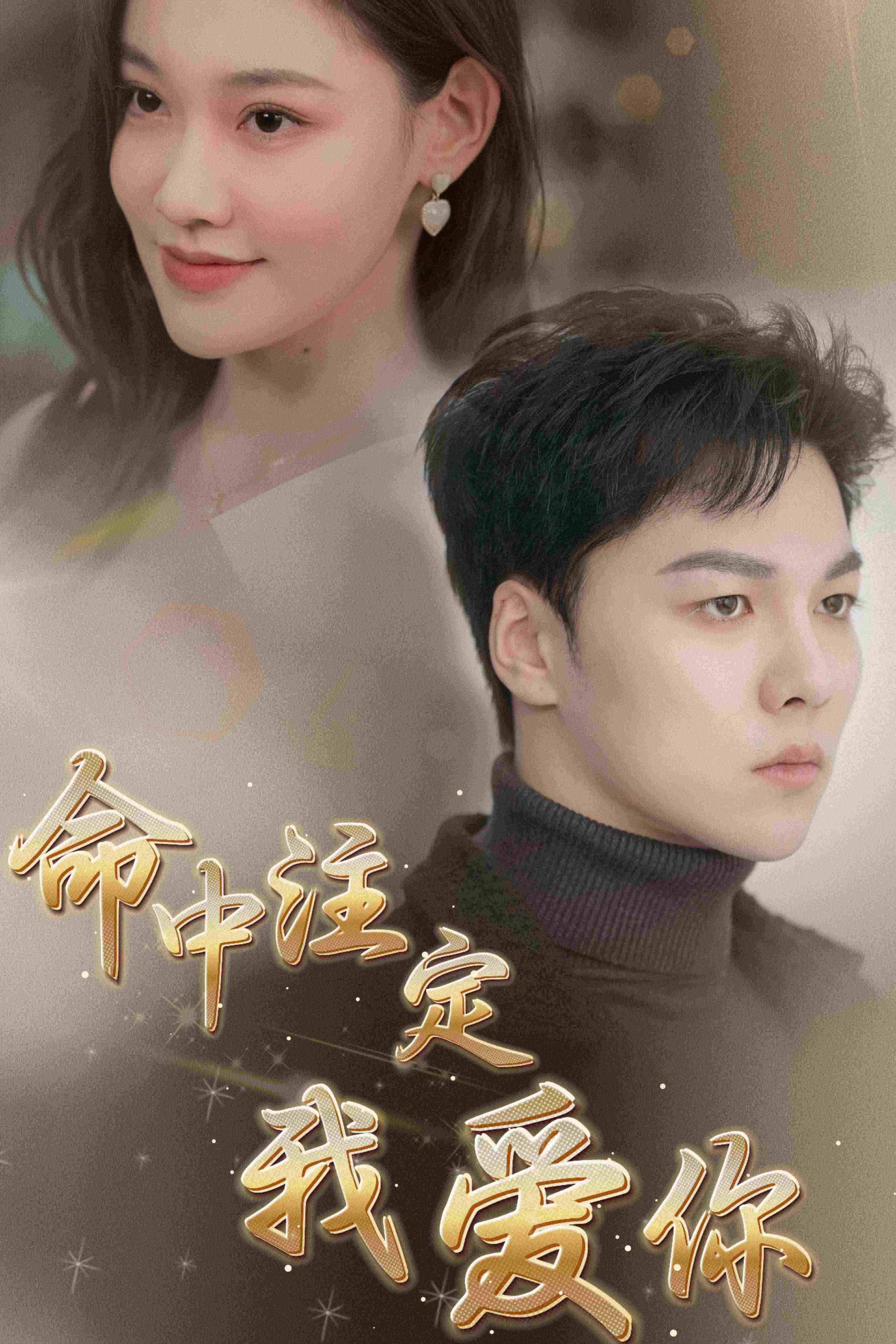 命中注定我爱你第37集