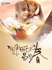 向阳花木易为春第32集