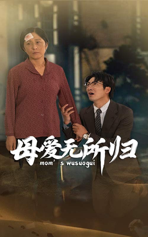 母爱无所归第28集