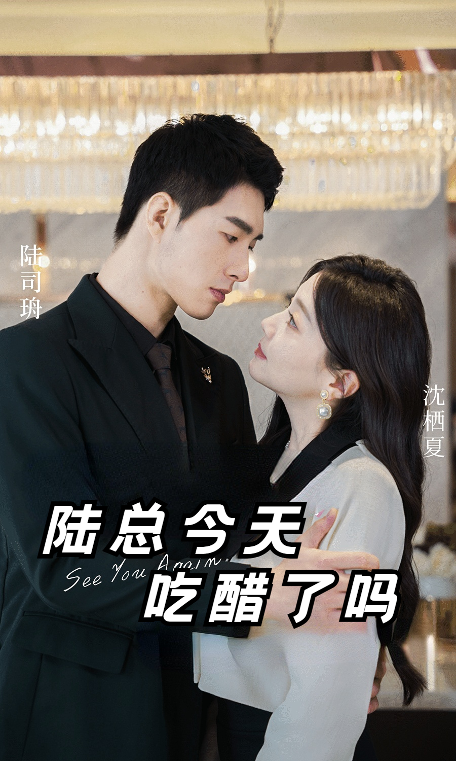 陆总今天吃醋了吗第32集