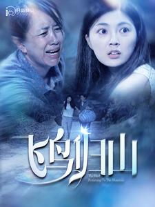 飞鸟归山第16集