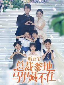 一胎五宝总裁爹地马甲藏不住第74集(大结局)