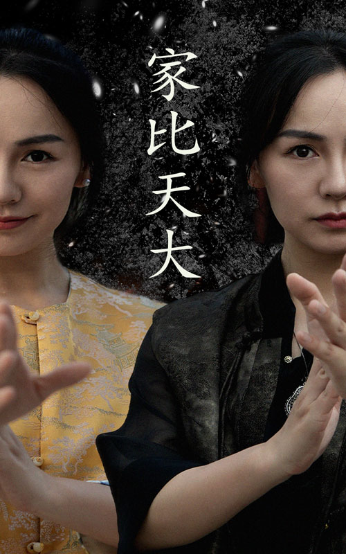 家比天大短剧第40集