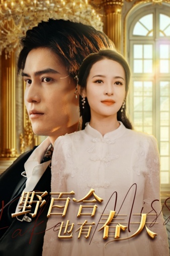 野百合也有春天短剧第58集