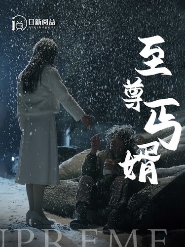 至尊丐婿第90集