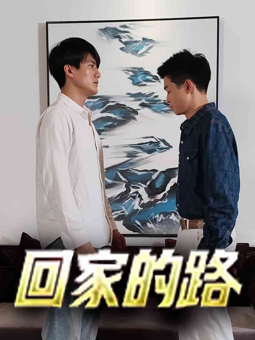 回家的路短剧第12集
