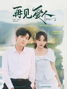 再见爱人第04集
