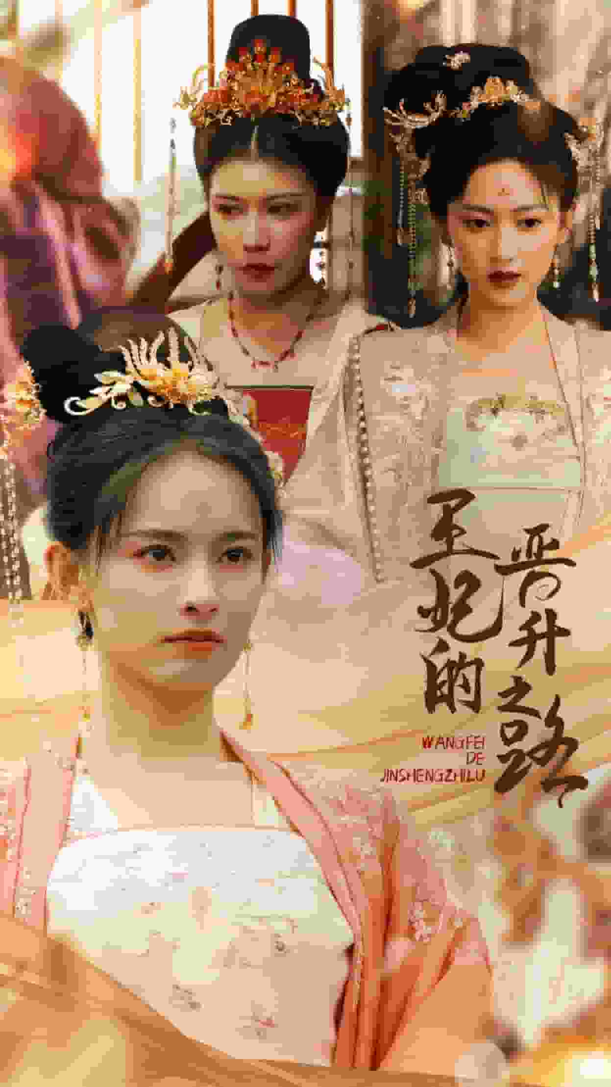 王妃的晋升之路第94集