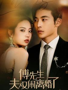 傅先生夫人又闹离婚了第12集