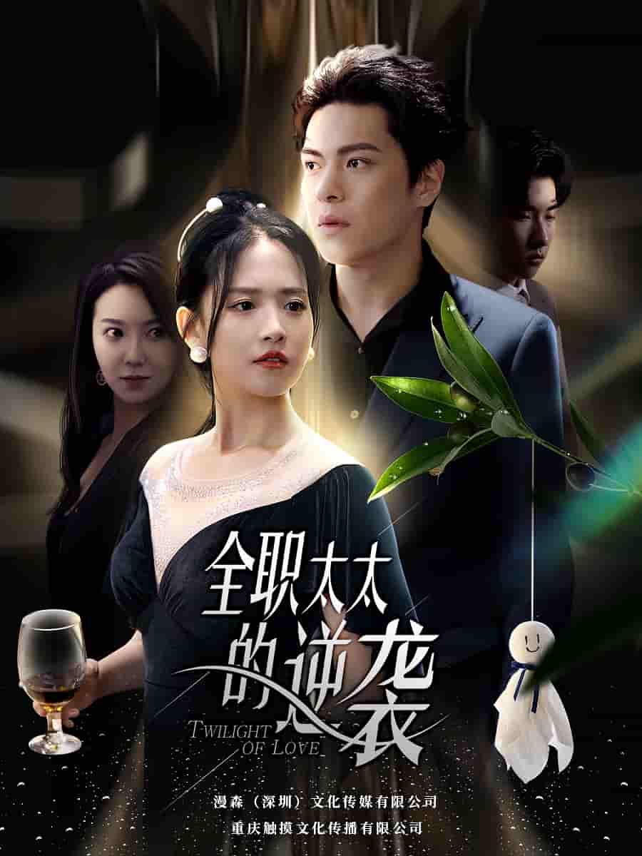 全职太太的逆袭第44集