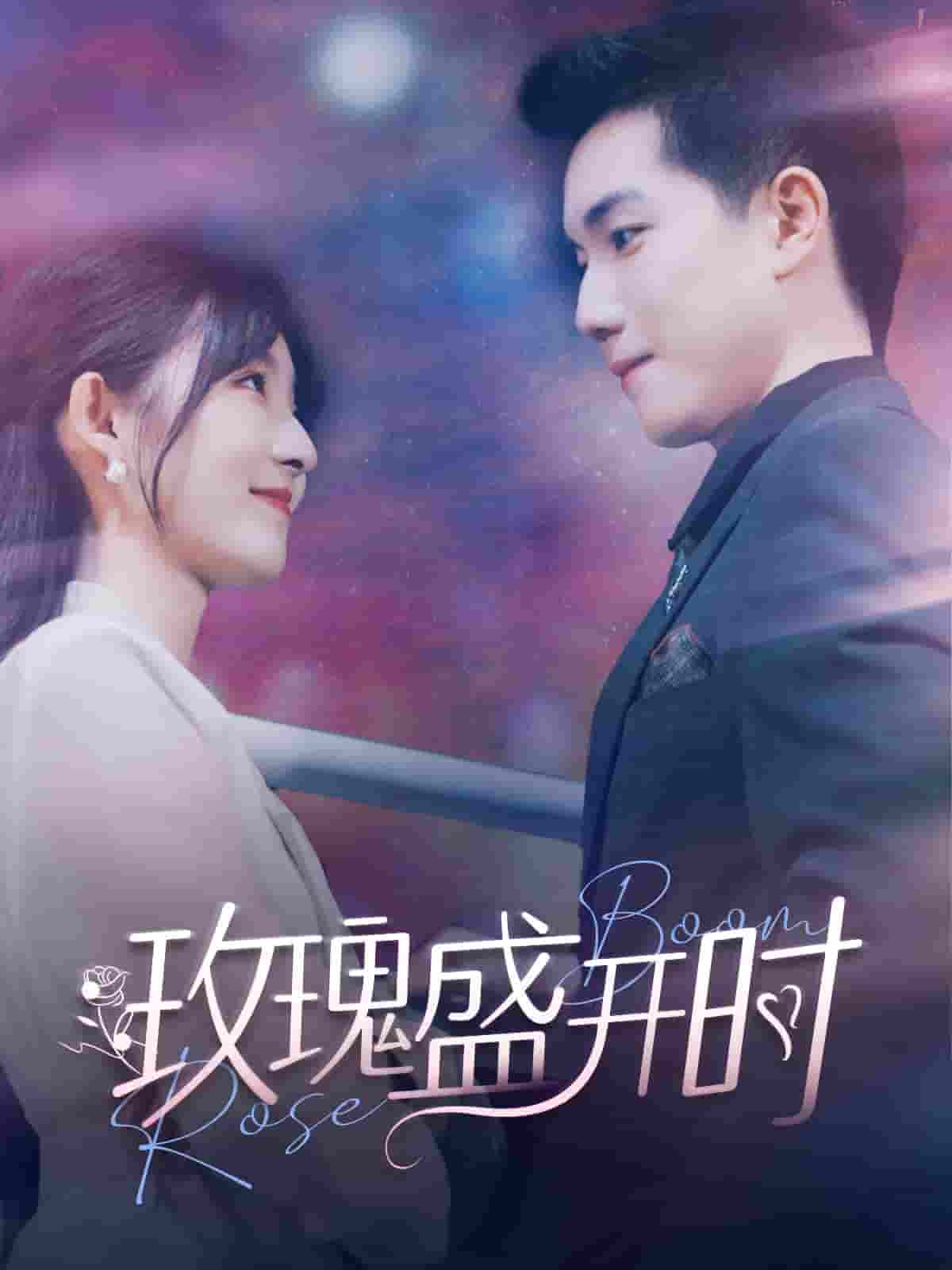 玫瑰盛开时第79集