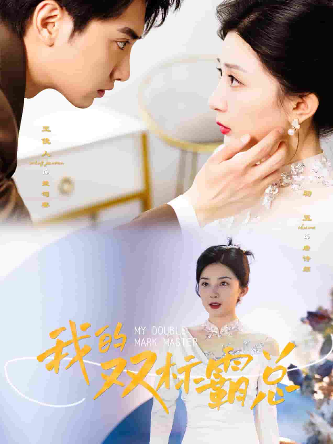 我的双标霸总第47集