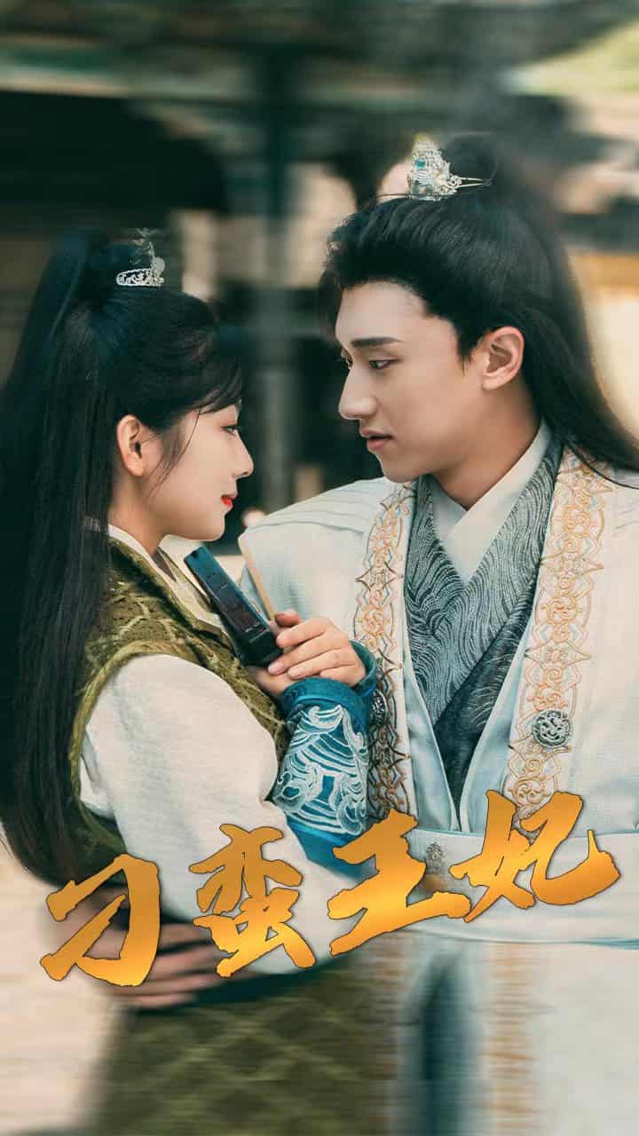 刁蛮王妃第41集