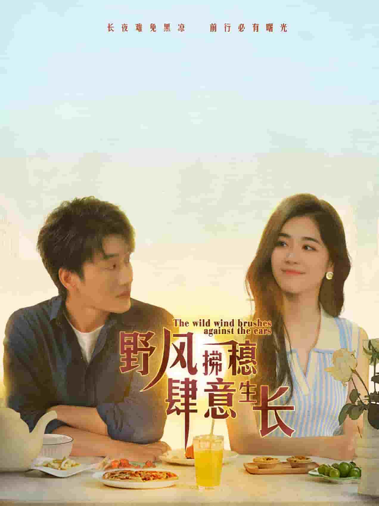 野风拂穗肆意生长第03集