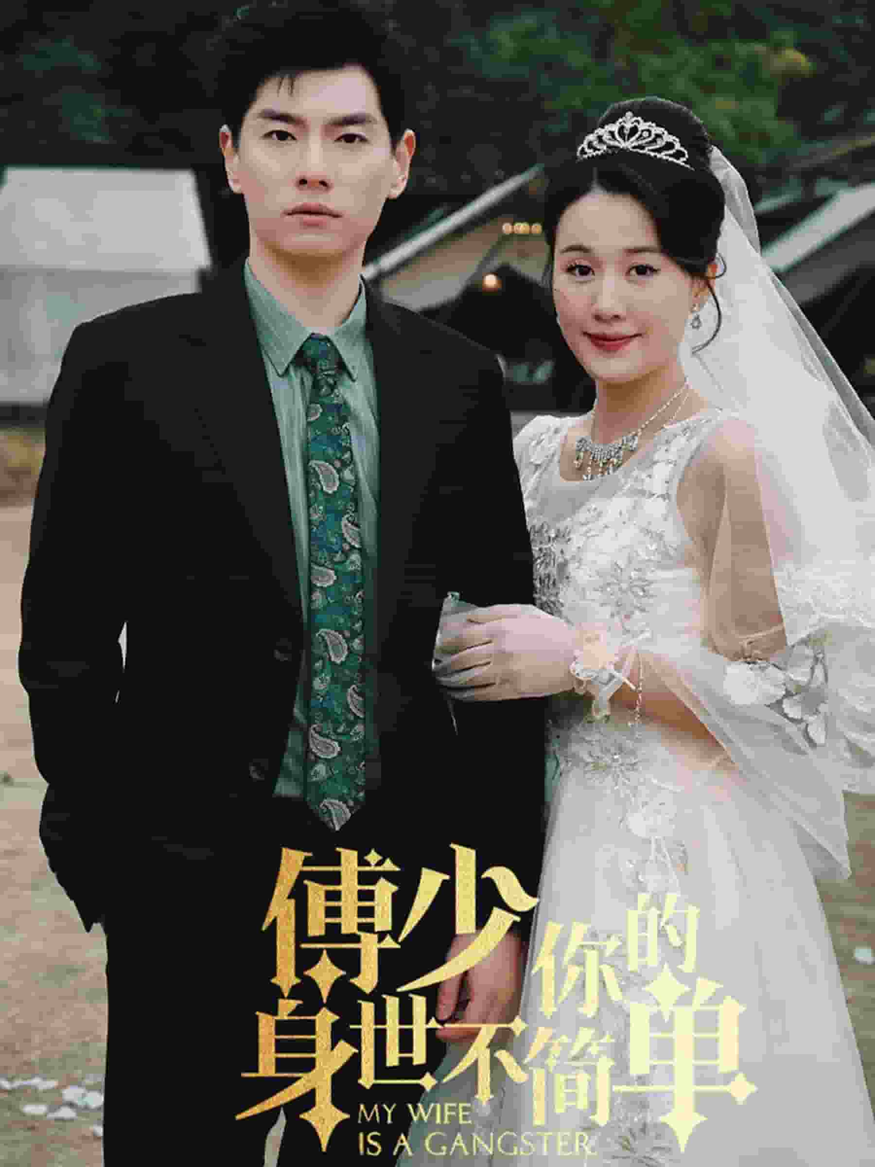 傅少你的身世不简单第08集