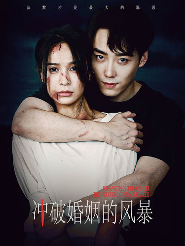 冲破婚姻的风暴第27集