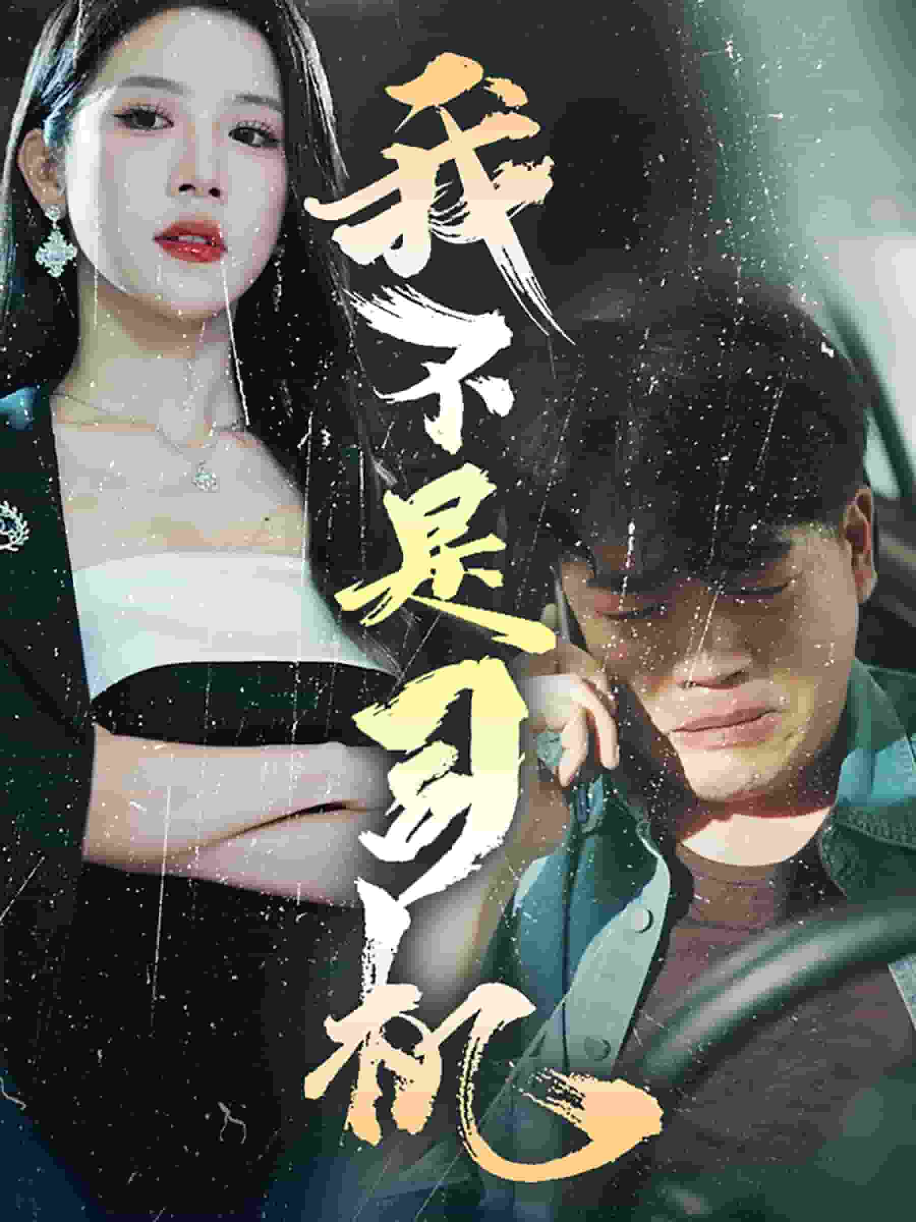 我不是司机第26集