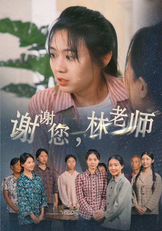 谢谢您，林老师第14集