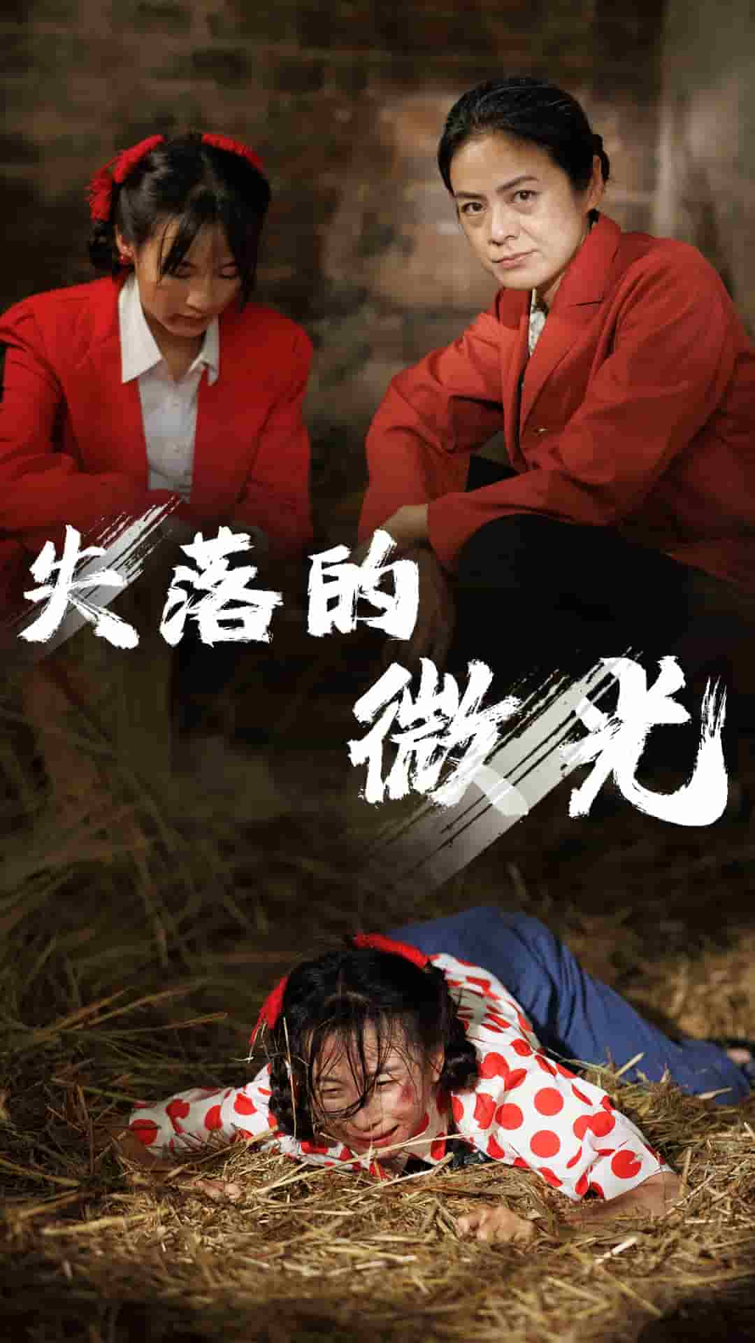失落的微光第42集
