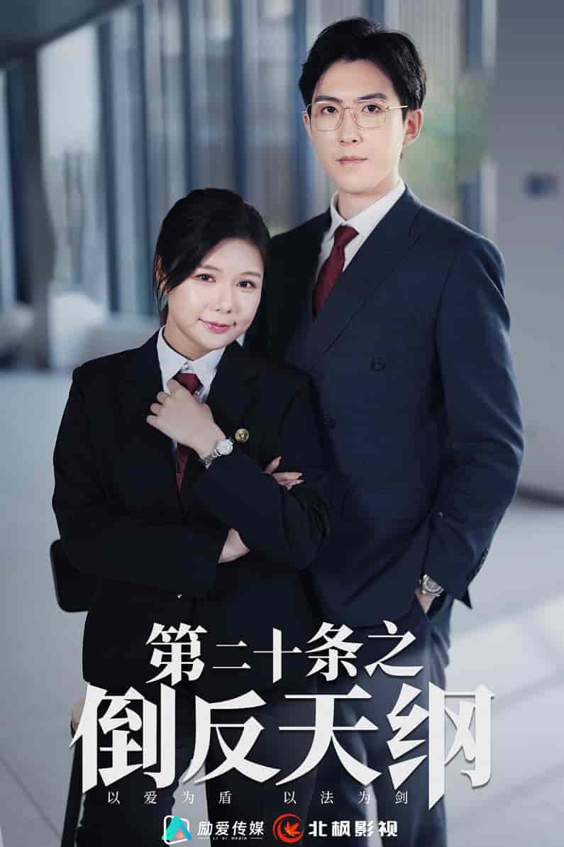 第二十条之倒反天纲第49集