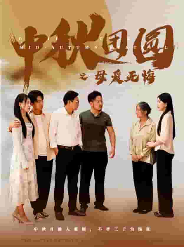 中秋团圆之母爱无悔第04集