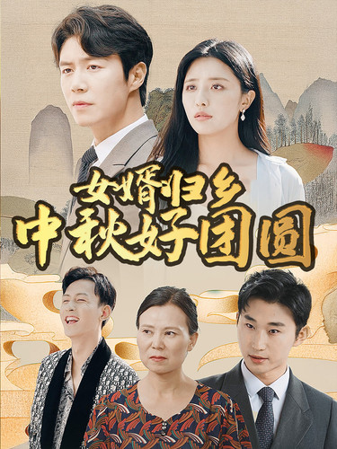 女婿归乡中秋好团圆第11集