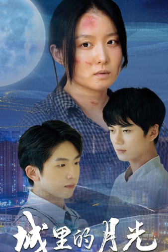 城里的月光第26集